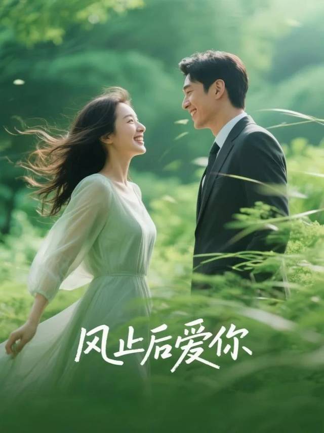 风止后爱你封面
