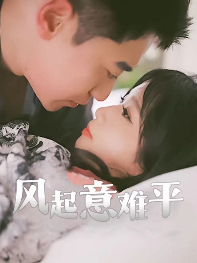 风起意难平封面
