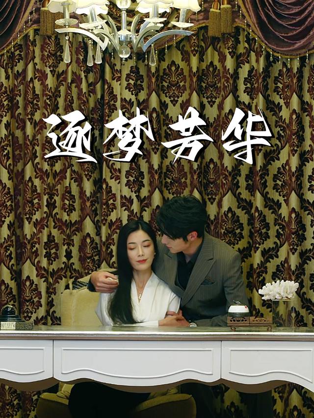 逐梦芳华封面
