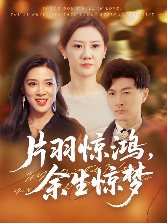 片羽惊鸿，余生惊梦封面