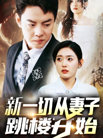从妻子跳楼开始封面