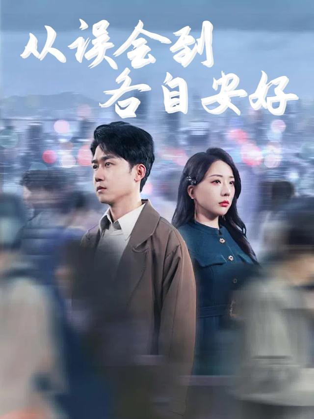 从误会到各自安好封面