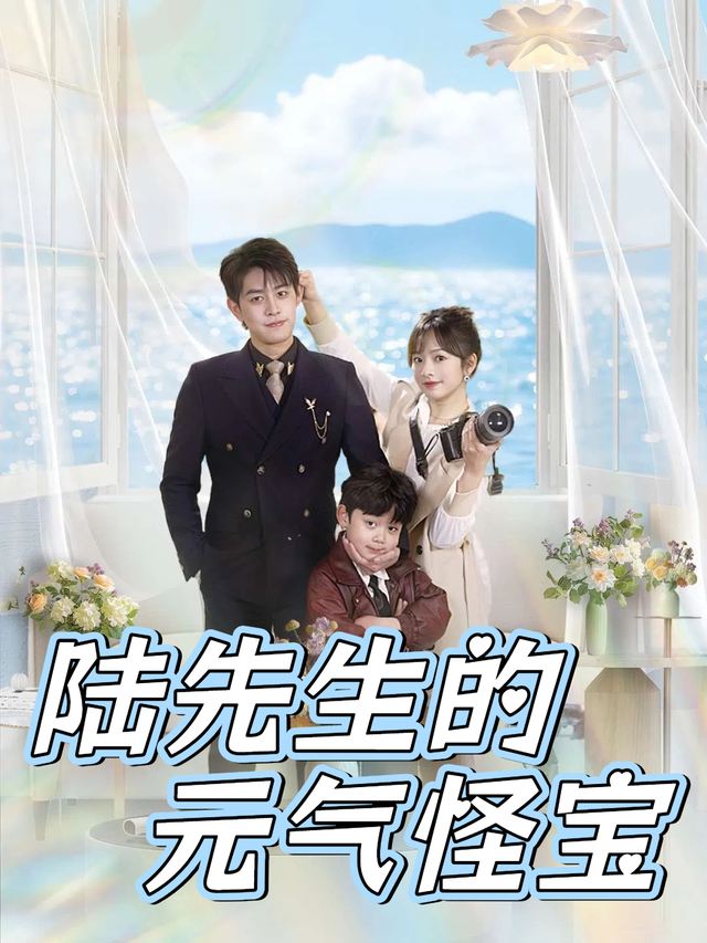 陆先生的元气怪宝封面