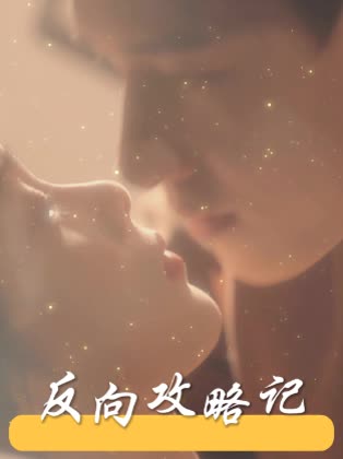 反向攻略记封面