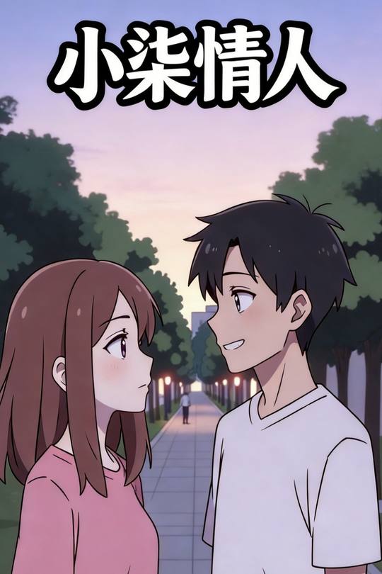 小柒情人封面