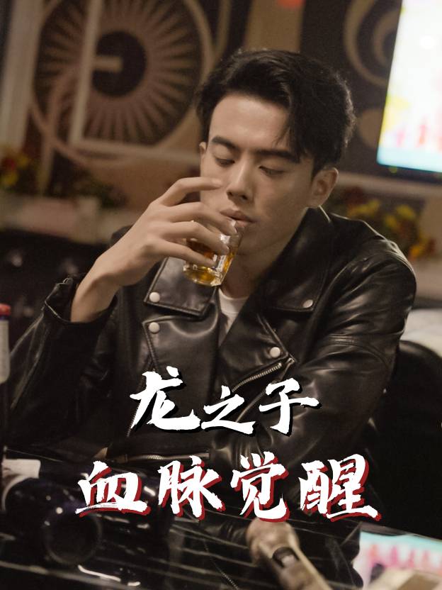 龙之子觉醒封面