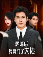 离婚后我竟成了大佬封面