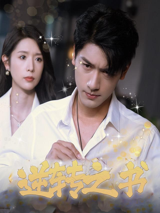 逆转之书封面