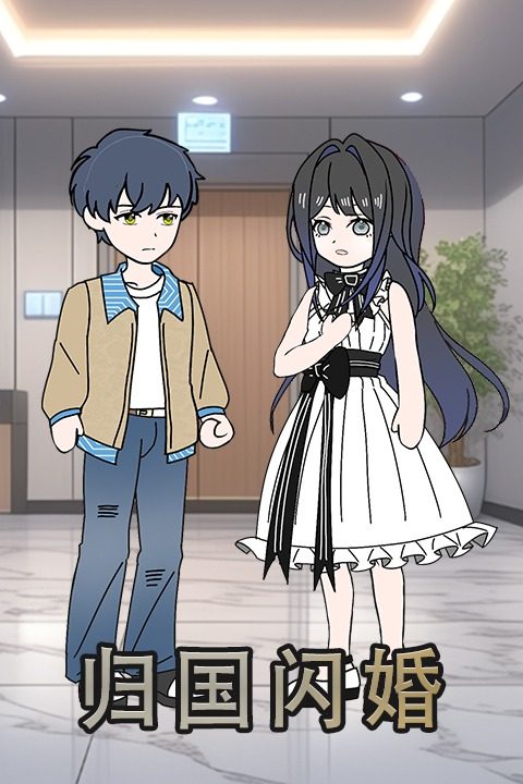 归国闪婚封面