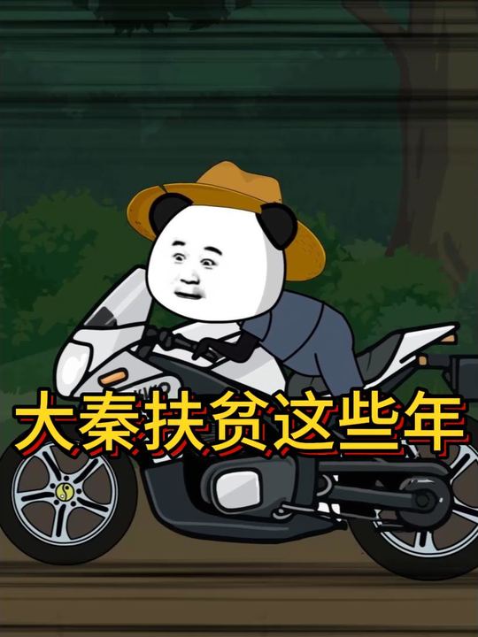 大秦扶贫这些年封面