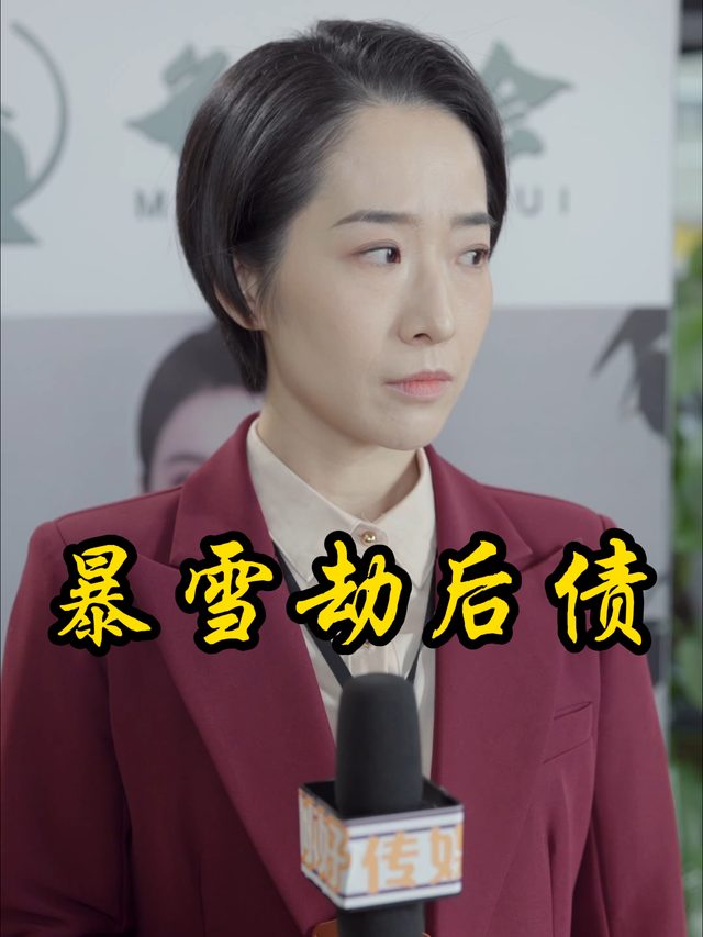 暴雪劫后债封面