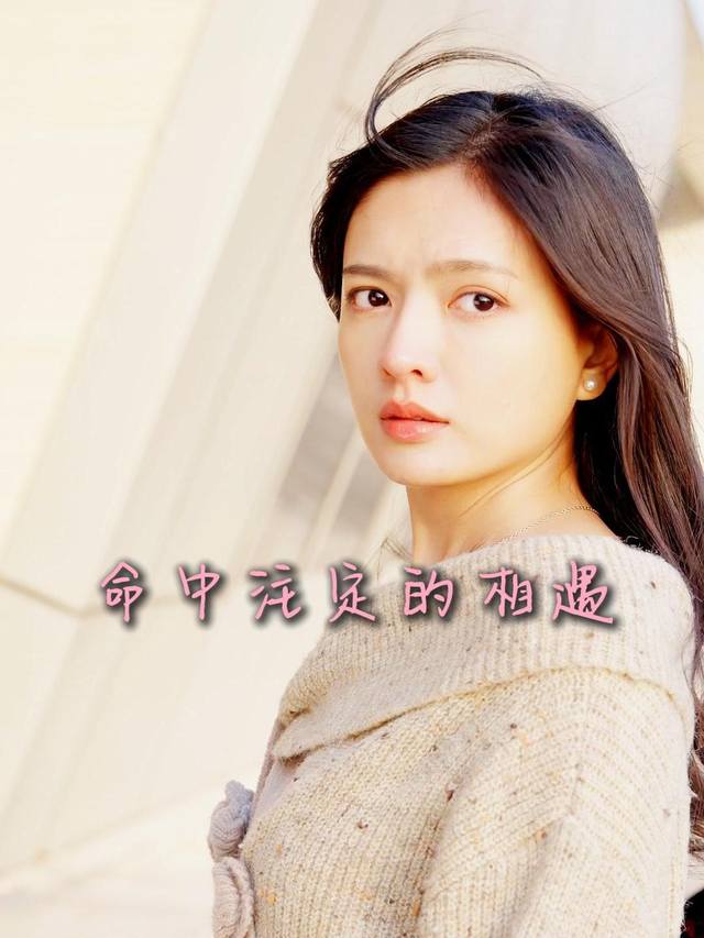 命中注定的相遇封面