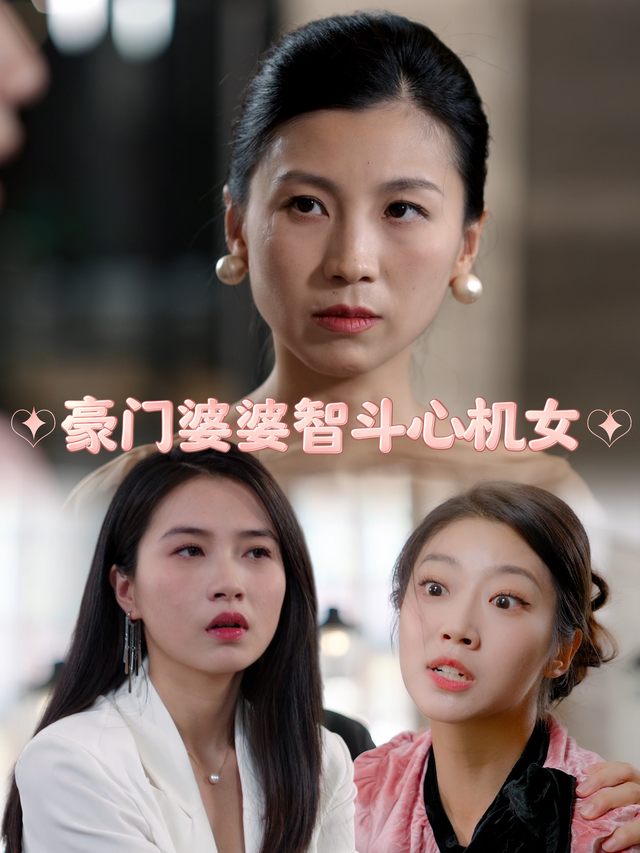 豪门婆婆智斗心机女封面