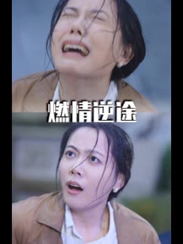 燃情逆途封面