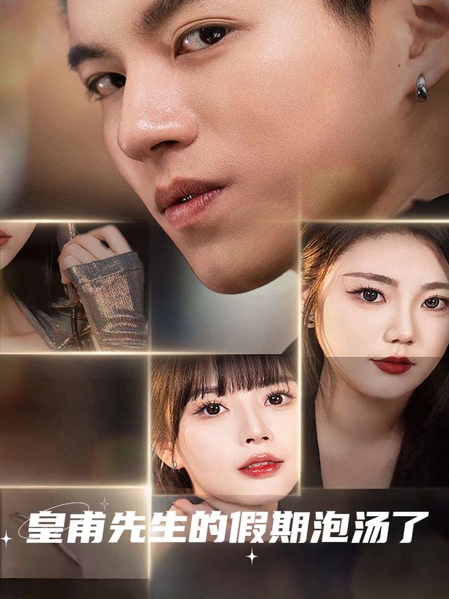 皇甫先生的假期泡汤了封面