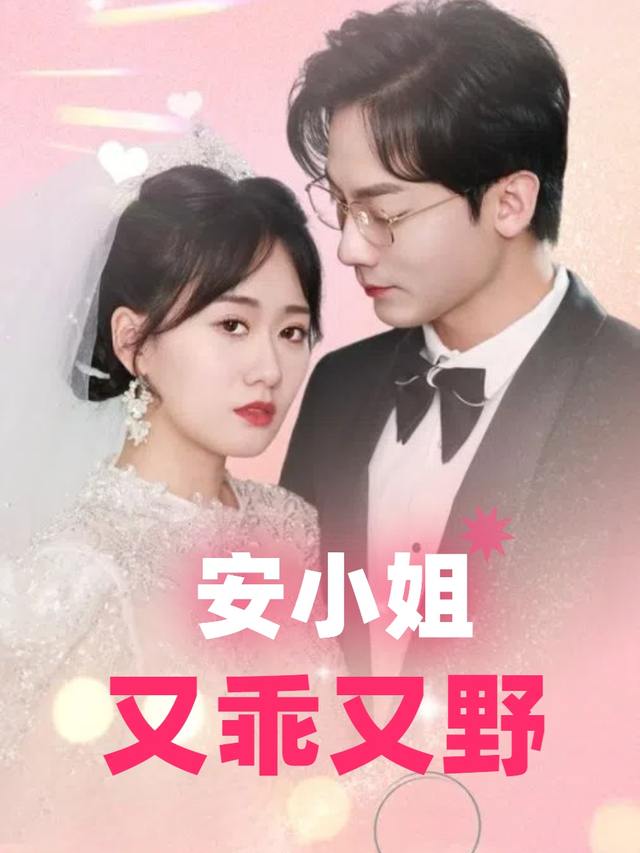 安小姐又乖又野封面