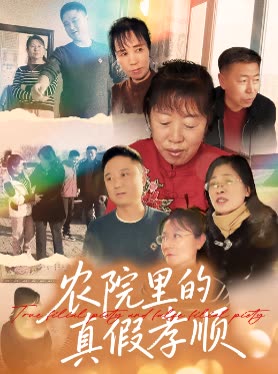 农院里的真假孝顺封面