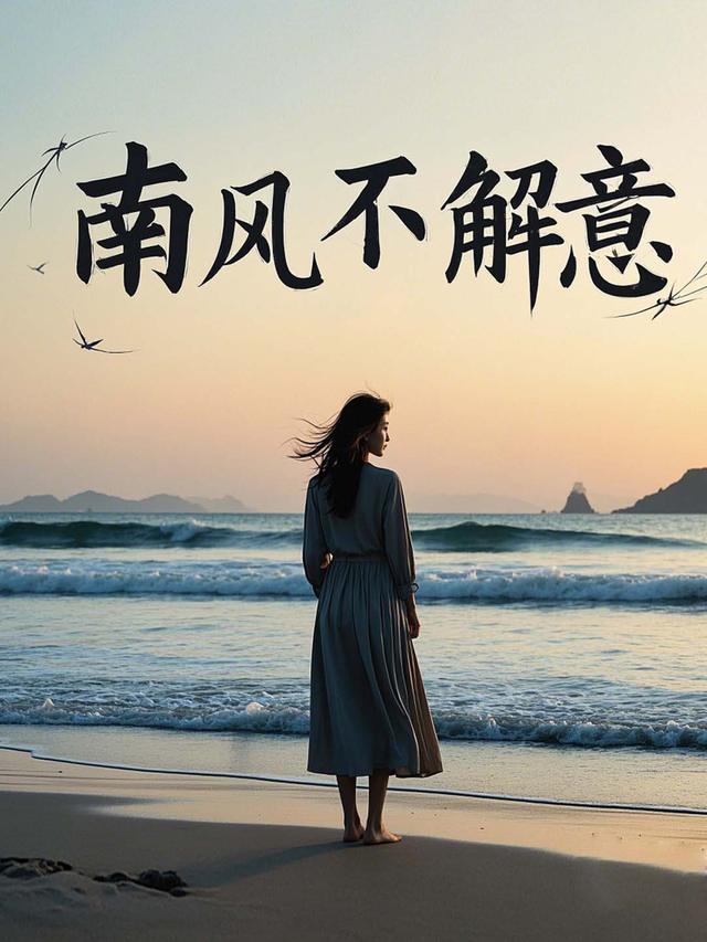 南风不解意封面
