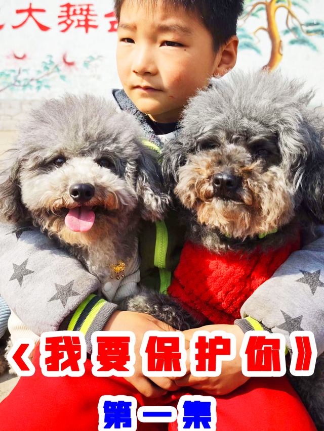 神犬锤锤之我要保护你封面