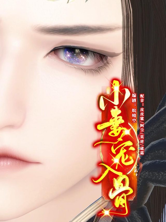 小妻宠入骨封面