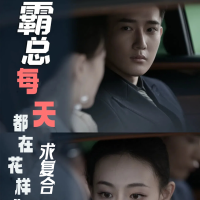 霸总每天都在花样求复合封面
