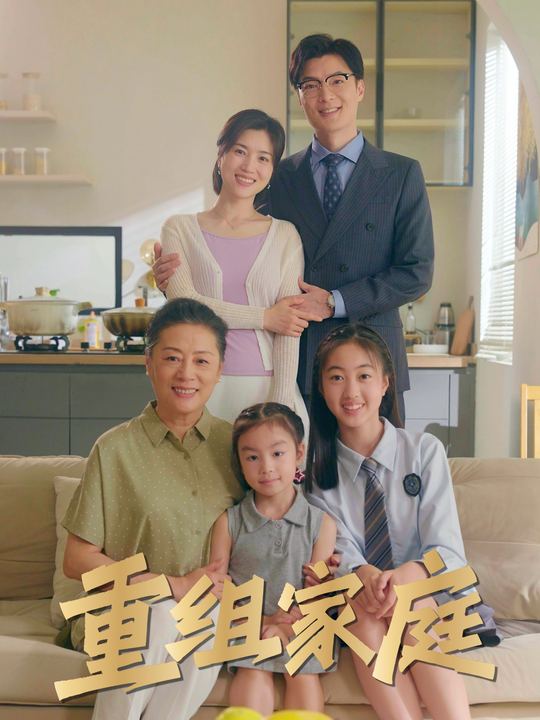 重组家庭封面