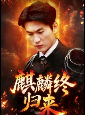 麒麟终归来封面