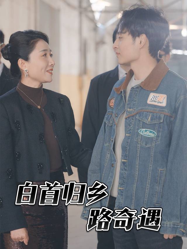 白首归乡路奇遇封面