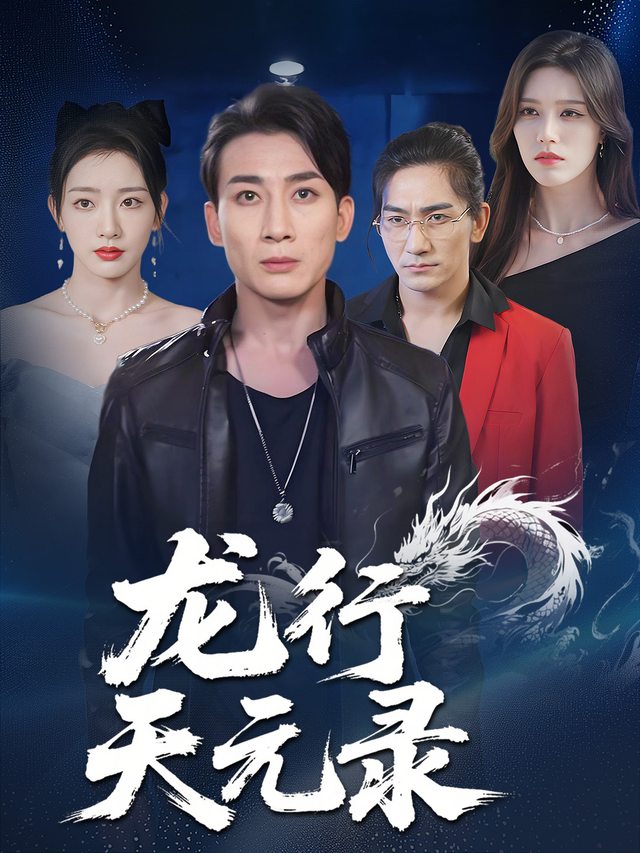 龙行天元录封面