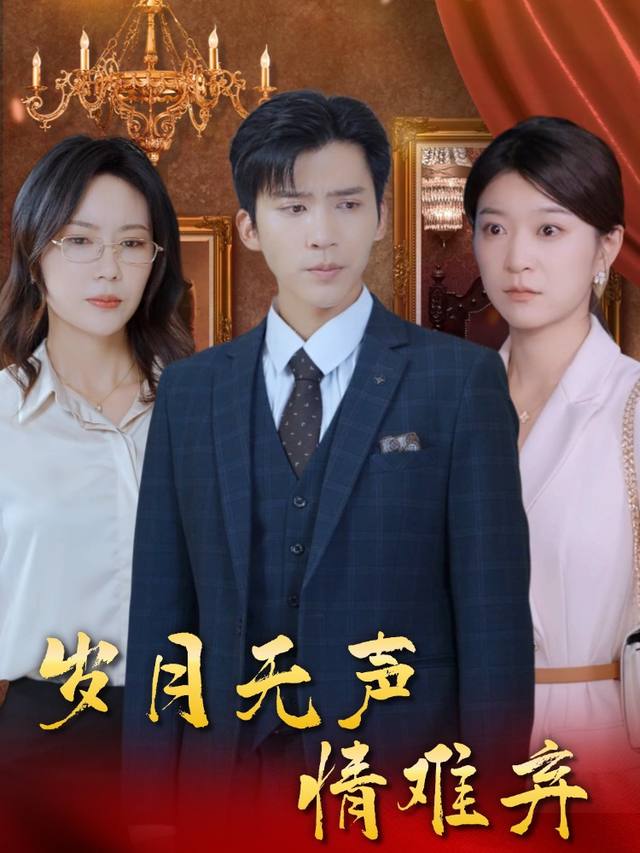 岁月无声情难弃封面