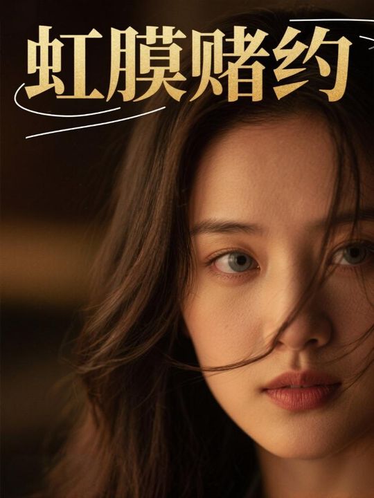 虹膜赌约封面