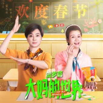 大妈的世界 贺岁篇封面