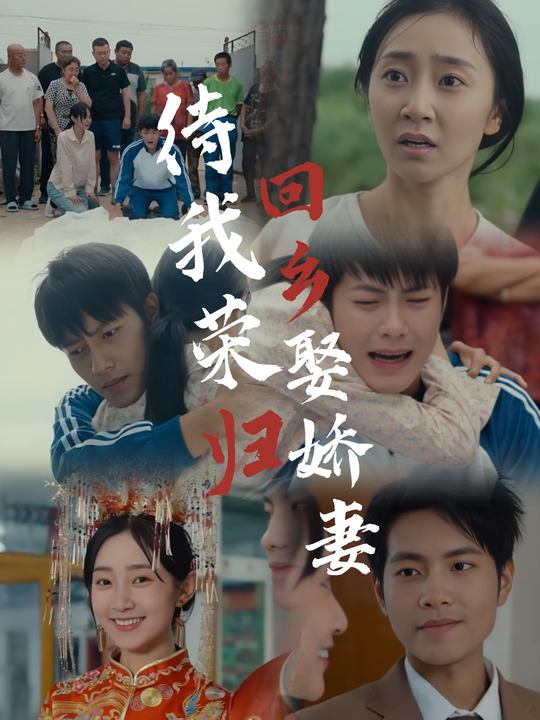 待我荣归回乡娶娇妻封面