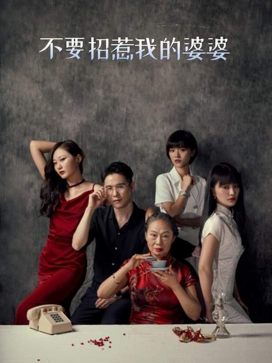 不要招惹我的婆婆封面