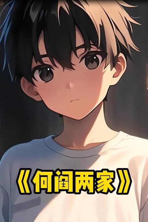 何阎两家封面