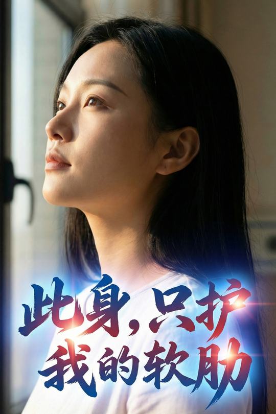 此身,只护我的软肋封面