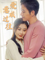 爱意已成过往封面