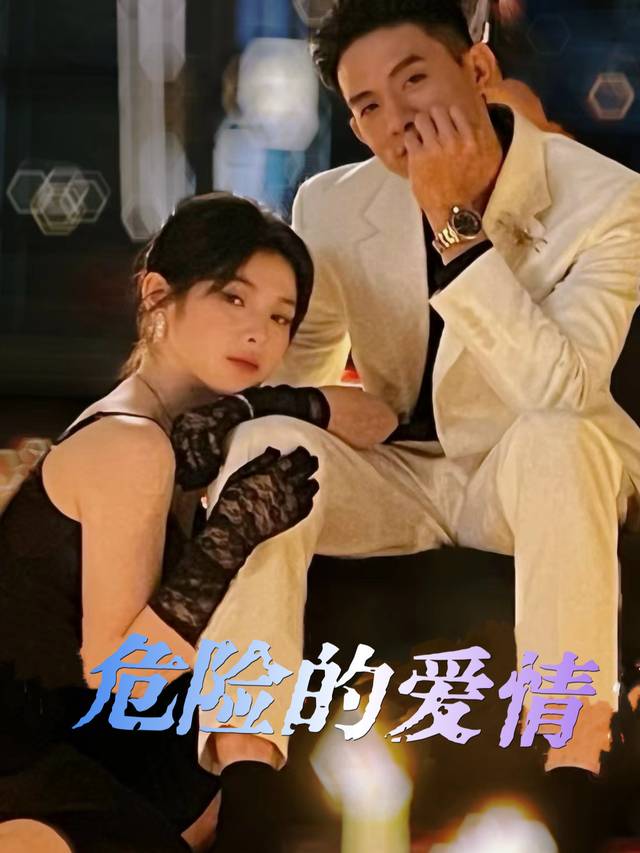 危险的爱情封面
