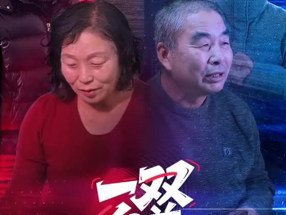 一双白首各西东封面