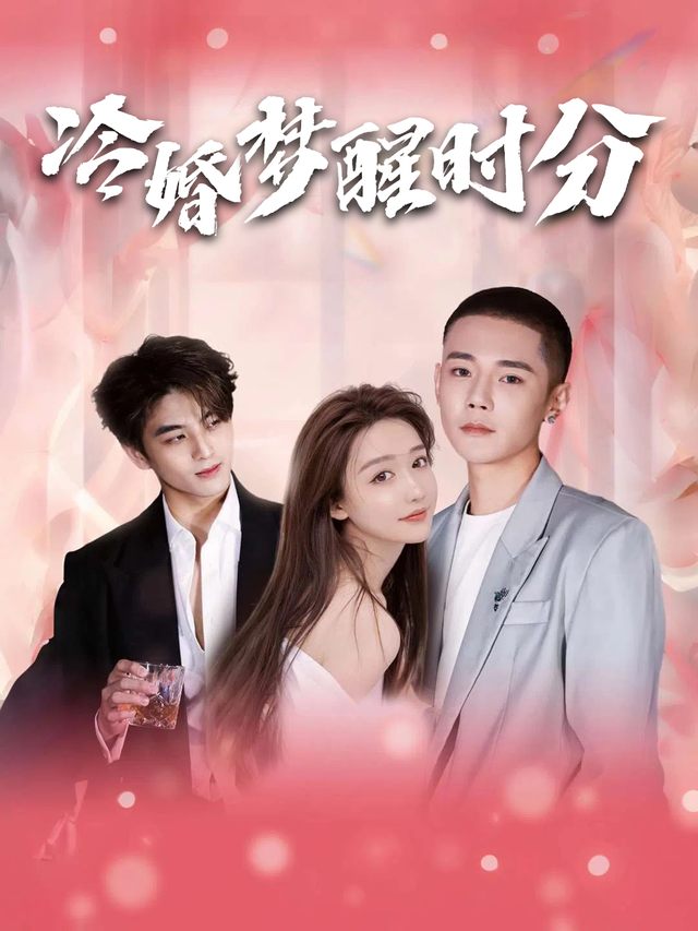 冷婚梦醒时分封面
