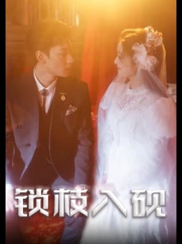 锁枝入砚封面
