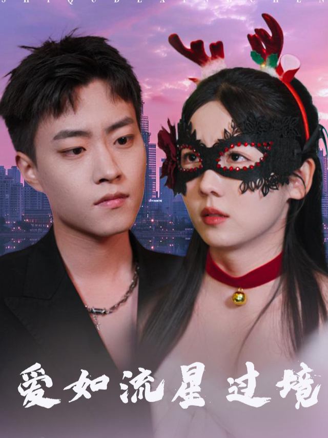 爱如流星过境封面