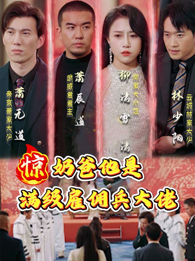 惊!奶爸他是满级佣兵大佬封面