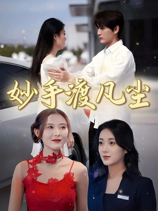 妙手渡凡尘封面