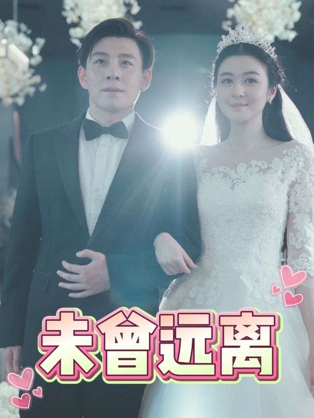 未曾远离封面