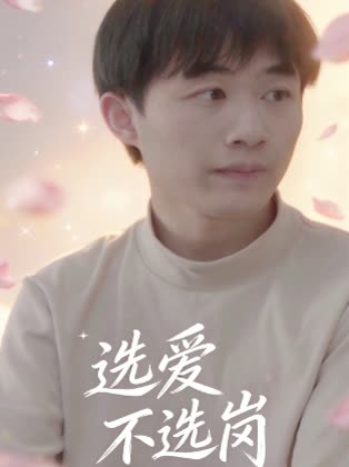 选爱不选岗封面