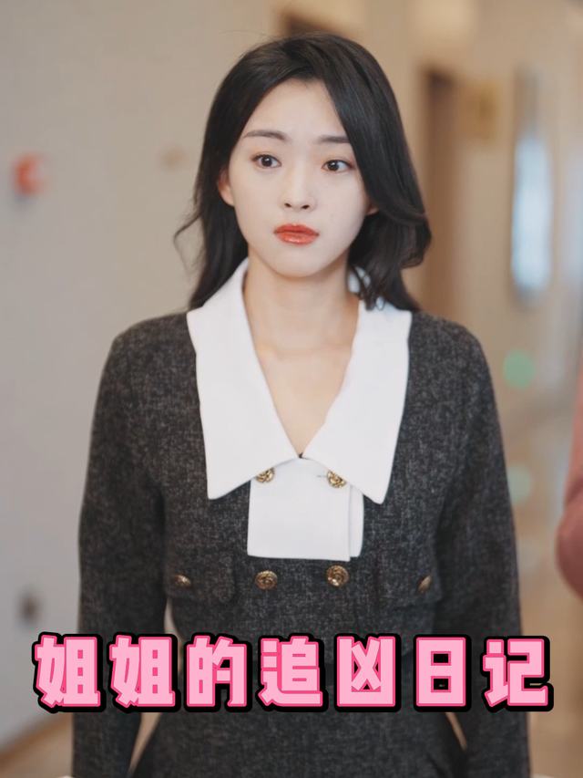 姐姐的追凶日记封面