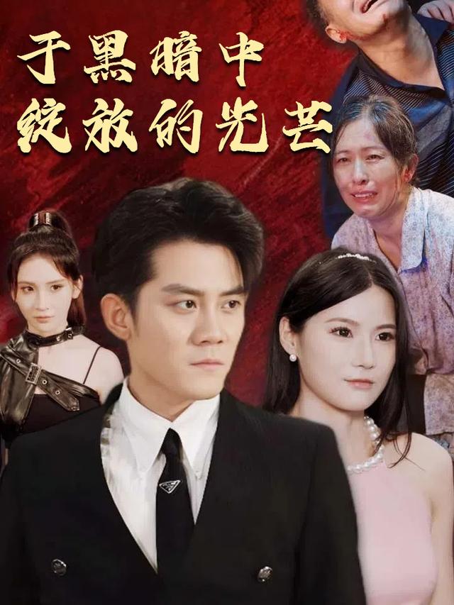 于黑暗中绽放的光芒封面