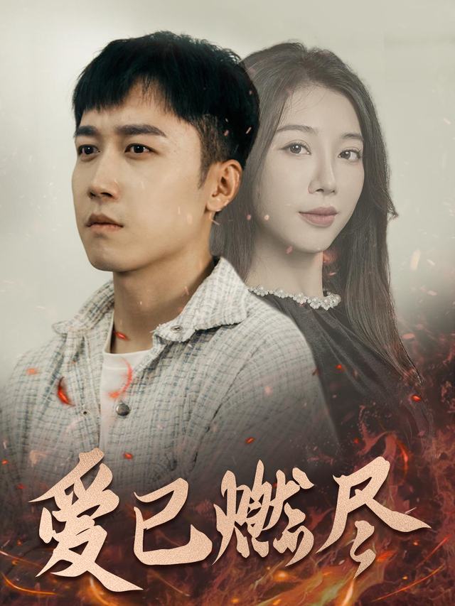 爱已燃尽封面