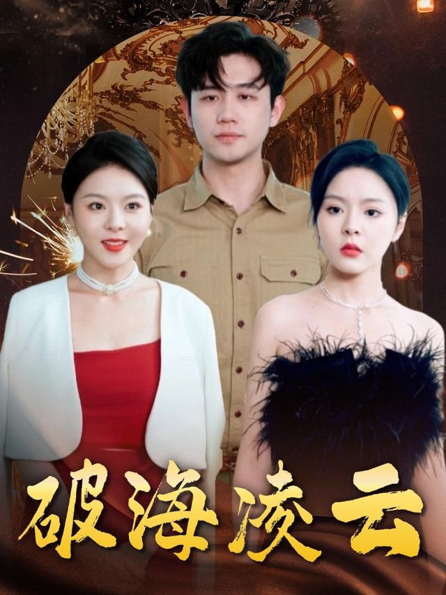 破海凌云封面